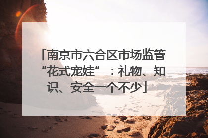 南京市六合区市场监管“花式宠娃”：礼物、知识、安全一个不少